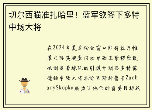 切尔西瞄准扎哈里！蓝军欲签下多特中场大将