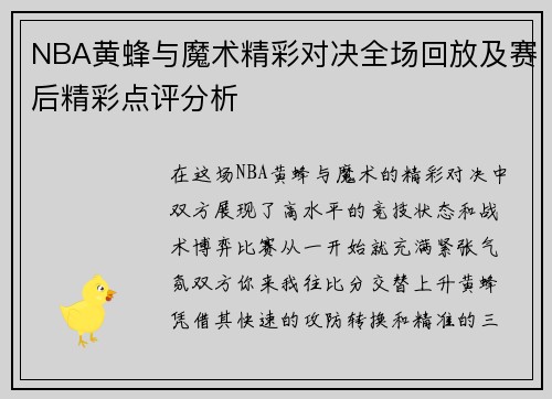 NBA黄蜂与魔术精彩对决全场回放及赛后精彩点评分析